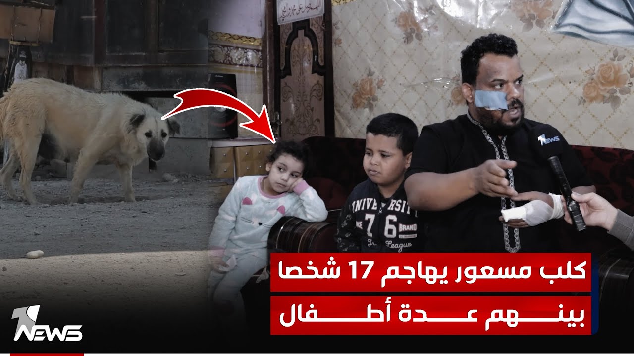كلب مسعور يصيب 17 شخصا في البصرة أغلبهم أطفال والشرطة تتمكن من قتـ * ـله بمساعدة الأهالي