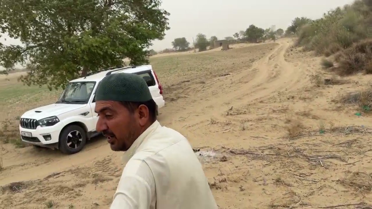 नाचना में 50बि नहरी जमीन बिकाऊ प्रो भीम सारण 7023576374