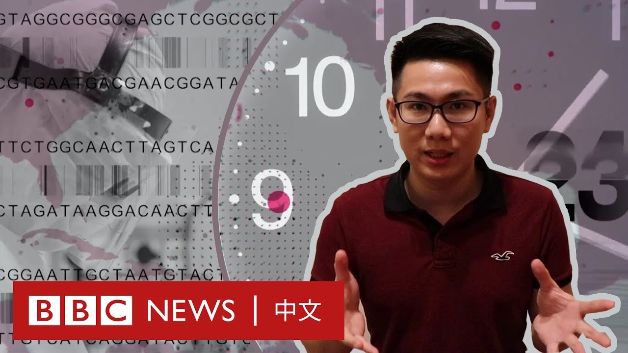 肺炎疫情：我們的生活何時才能恢復正常？－ BBC News 中文