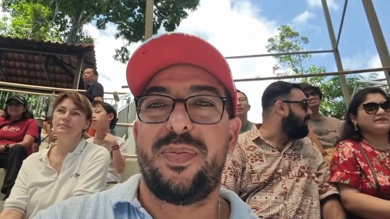 عرض لطيور الببغاء في ماليزيا فرجة ممتعة 