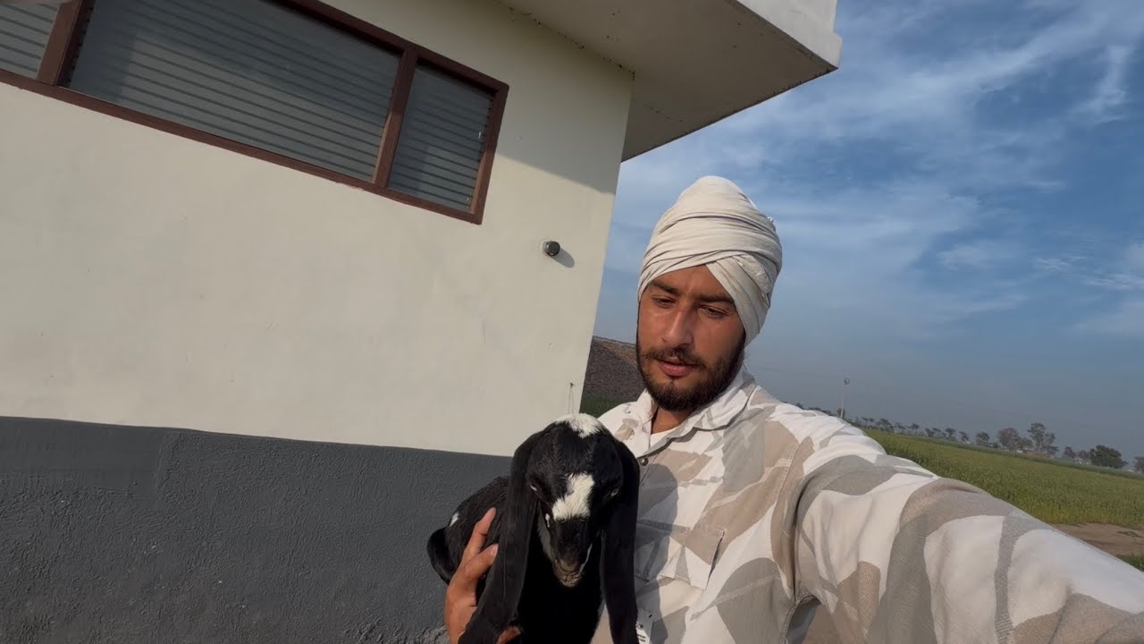 Ajj daabu na kita tang patha laan nahi jan dy de karo check vlog far 😒