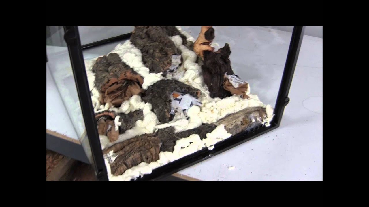 Custom Waterfall Vivarium Setup