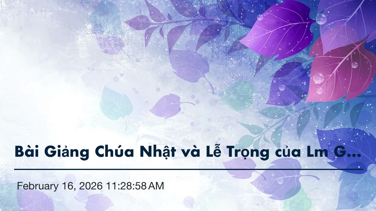 Bài Giảng của Cha Giuse Nv Thú. t6 TN. Chúa GIESU kiện toàn lề luật.