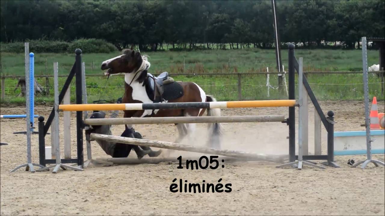 Puissance au centre équestre du fano galop 5/6/7 + chutes