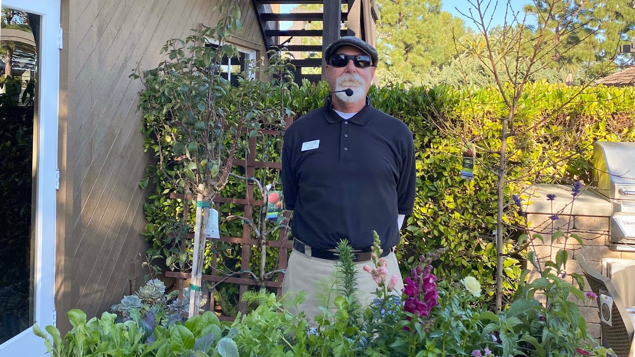 Monthly Gardening Checklist for January 2024