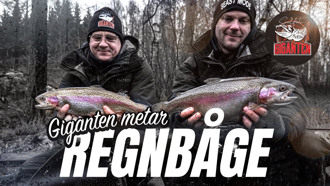 Giganten metar regnbåge i Harasjömåla!