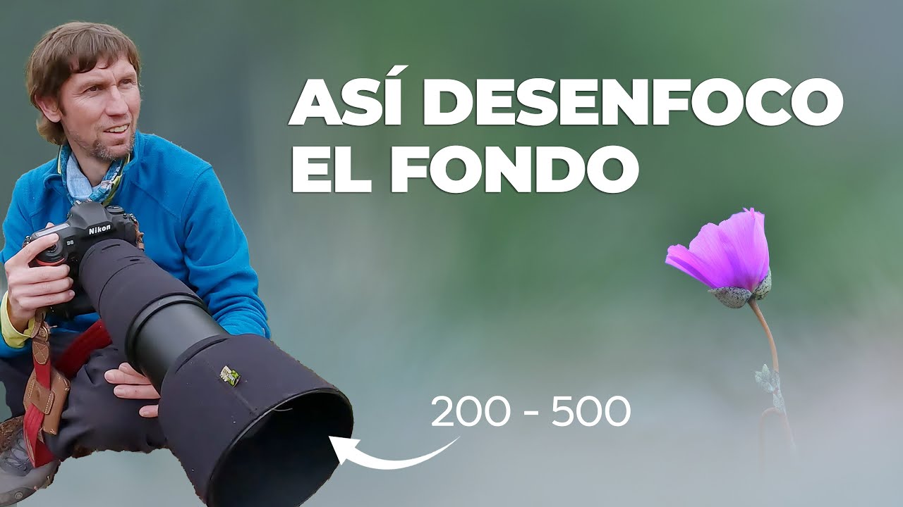 FLORES con Fondos DESENFOCADOS: ¡Hazlo así!