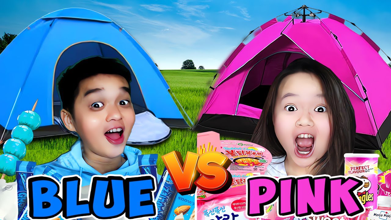 CAMPING 1 WARNA... PINK VS BIRU DALAM 24 JAM di BROOKHAVEN @BANGJBLOX