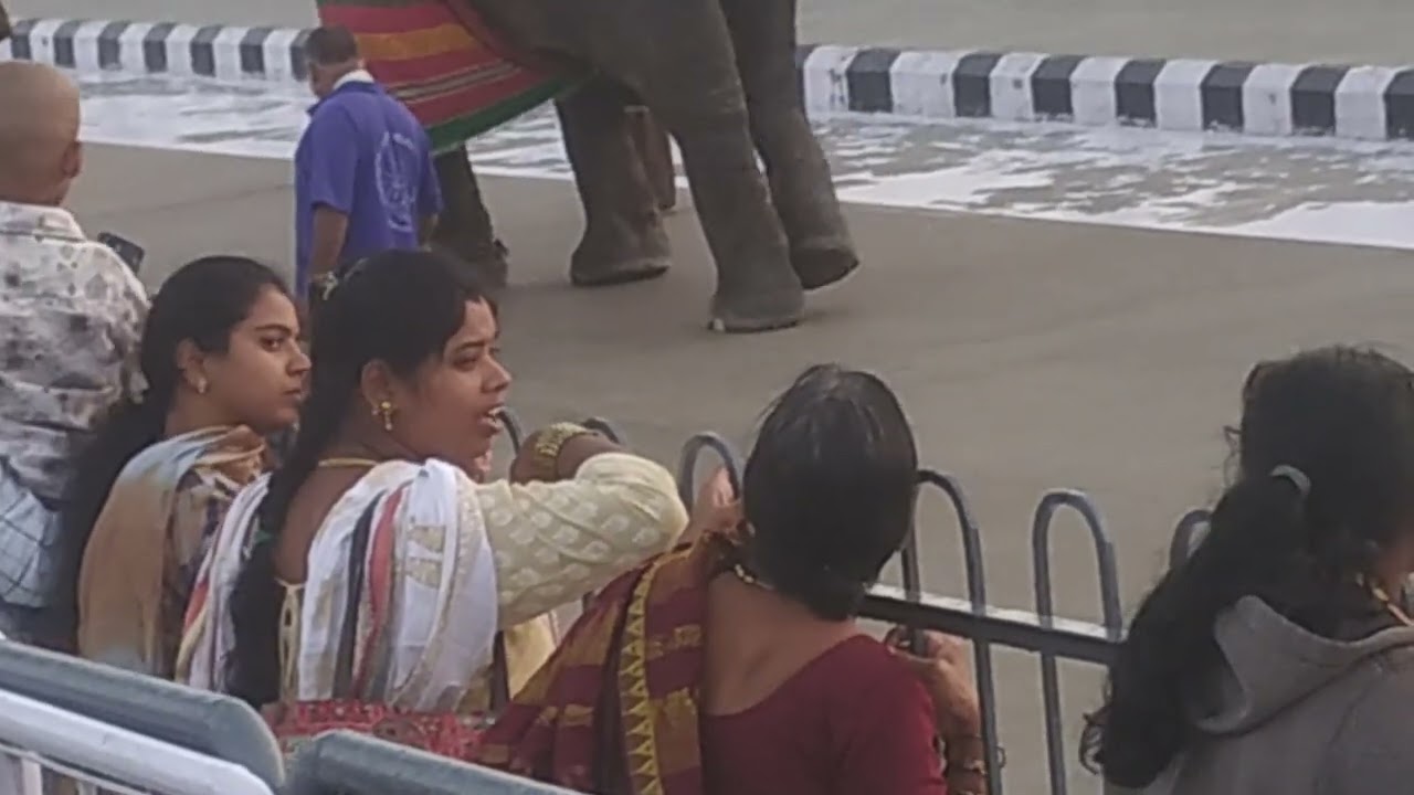 திருப்பதி ஏழுமலையான் தரிசனம்