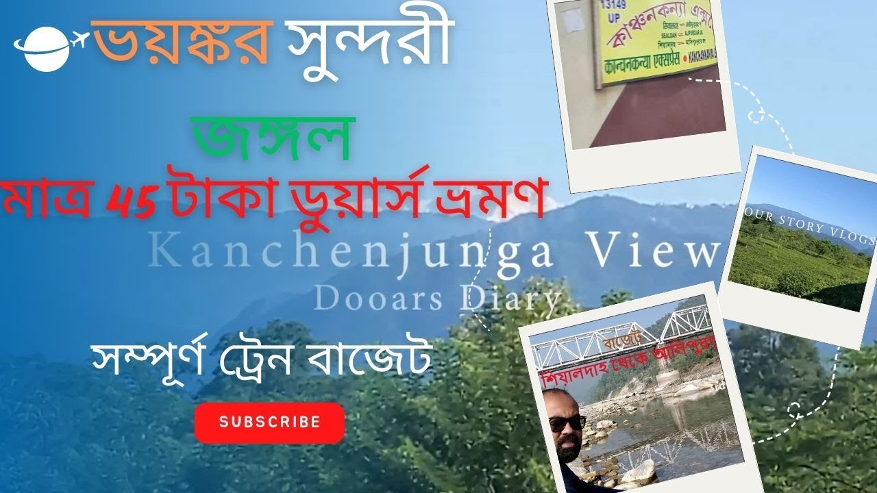 Train Journey in Jungles || Dooars Train Journey ||