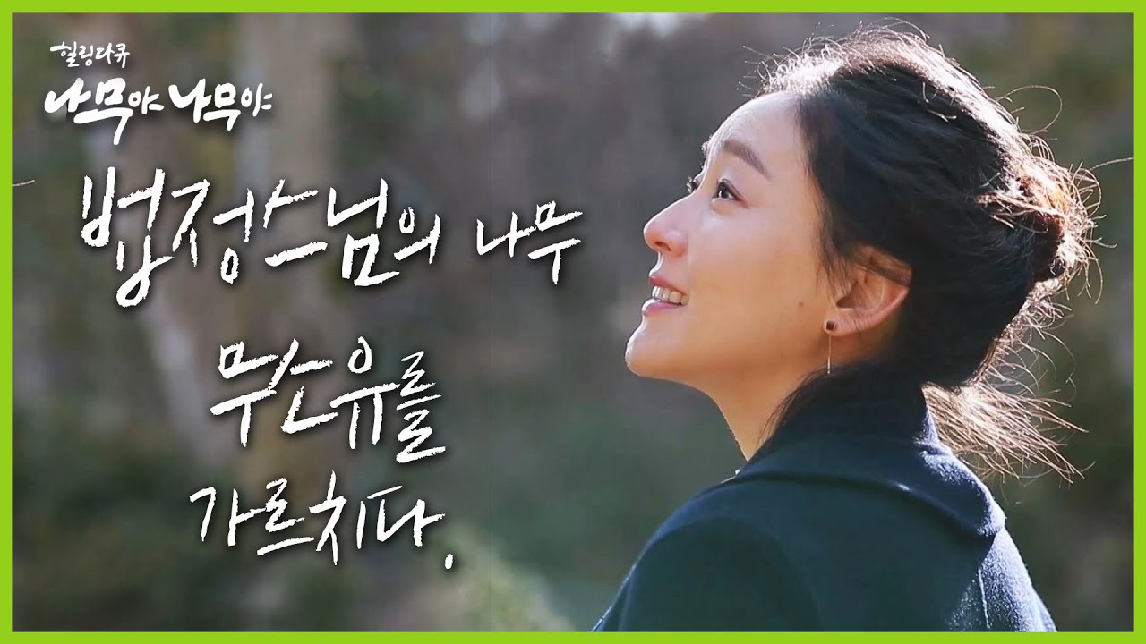 [나무야 나무야🌳 #8] 법정스님께서 생전 제일 아끼던 나무를 찾아간 배우 '박진희' 🌳 깨달음을 얻고 오다 💫 | KBS 180213 방송