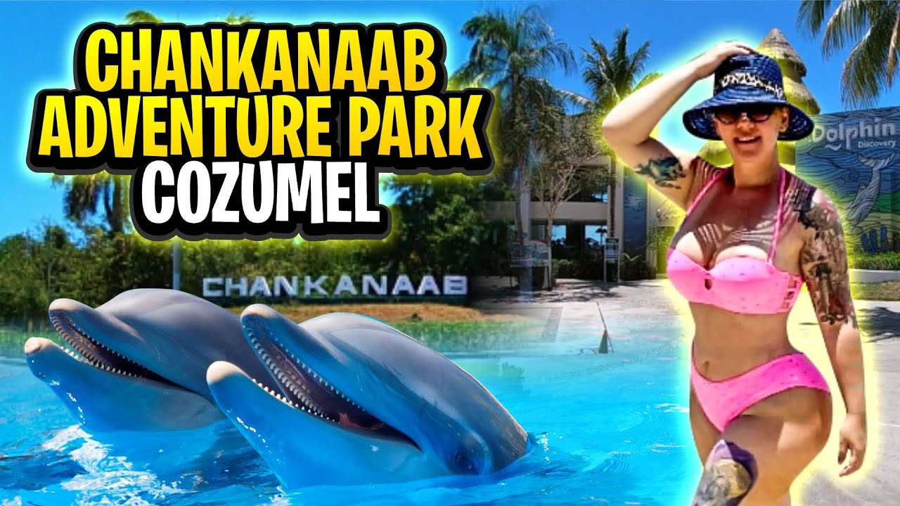 Chankanaab Adventure Park Dolphin Discovery Tour Cozumel Mexico