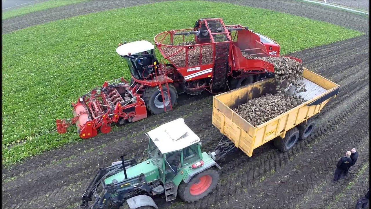 Grimme Maxtron & Rexor demo 2014