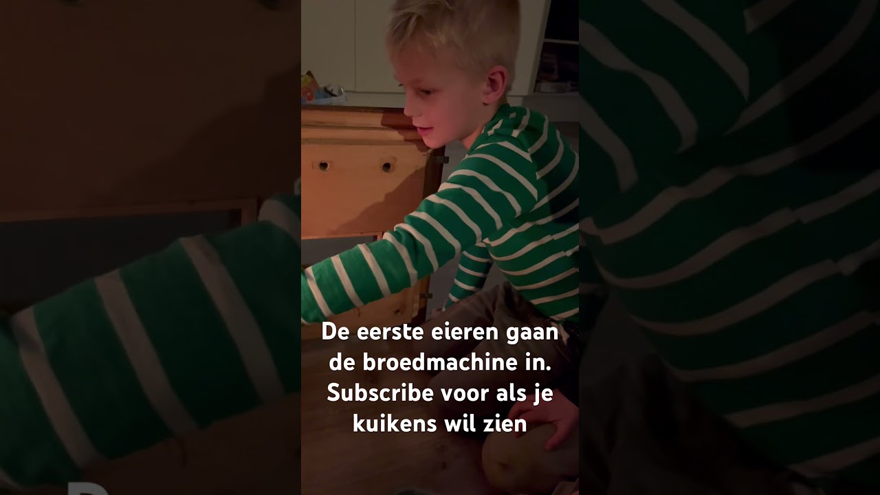 Eieren gaan de broedmachine in. #chicken #broeden # kippen #kuikens