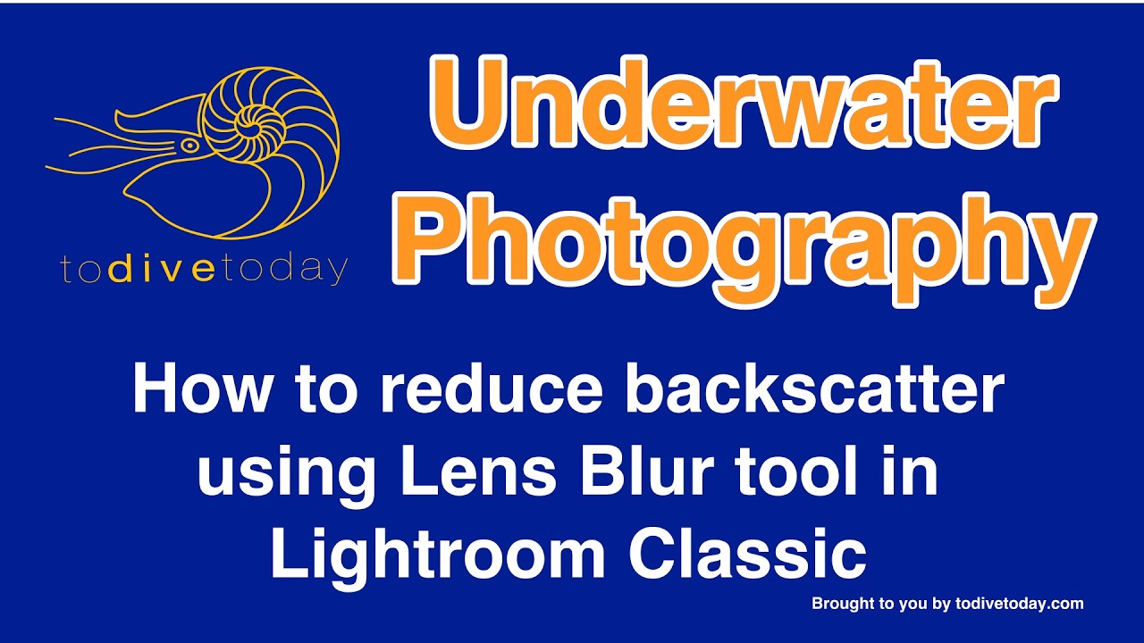 How to remove Backscatter using Lightroom from a picture taken underwater.