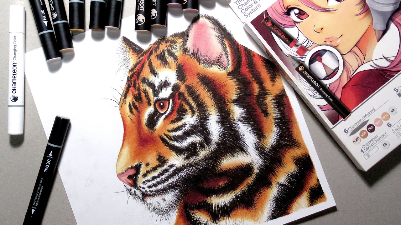 How to draw a tiger using Chameleon markers.