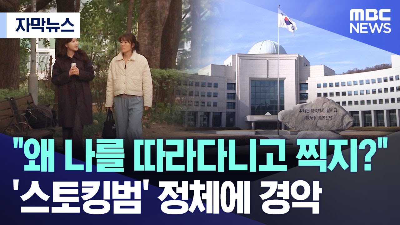 [자막뉴스] 