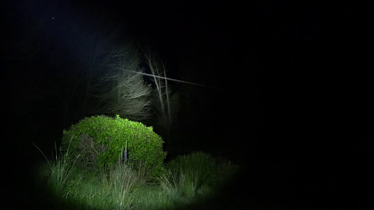 Convoy M2, SST40 5000K, ANSI 1560 Lumens (Demo)