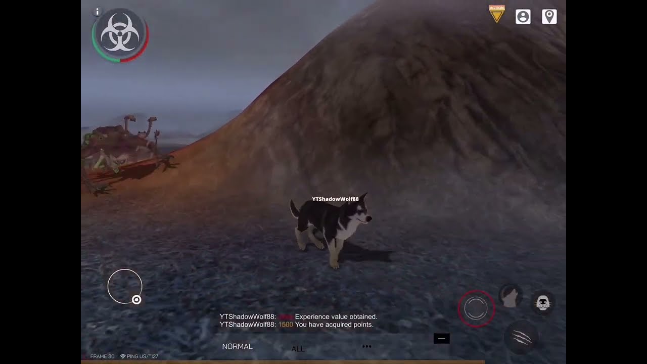 A happy husky on a truly dangerous adventure in search of a monster!!!
