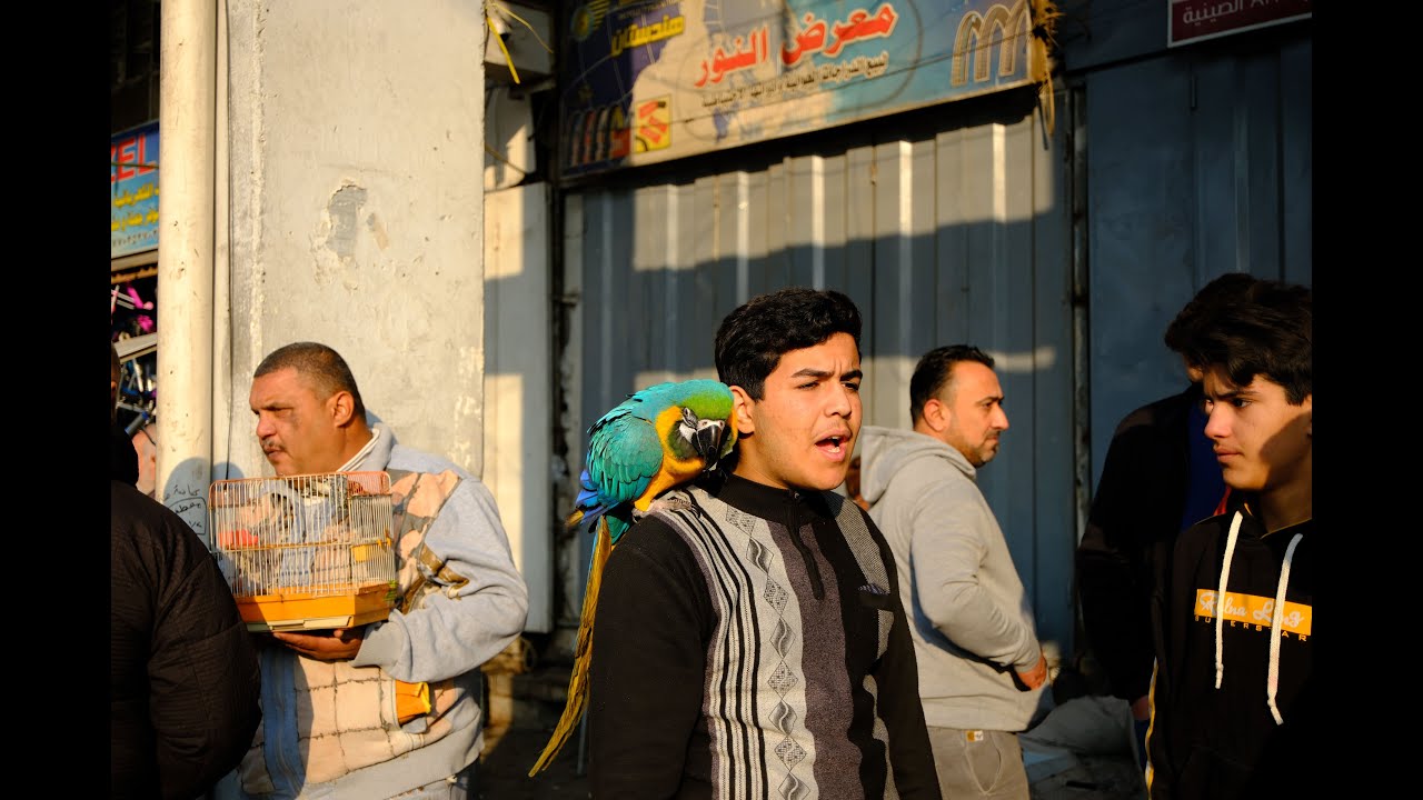 سوق الغزل لهذا اليوم حيوانات وطيور غريبه وجميله 2025\12\26😎