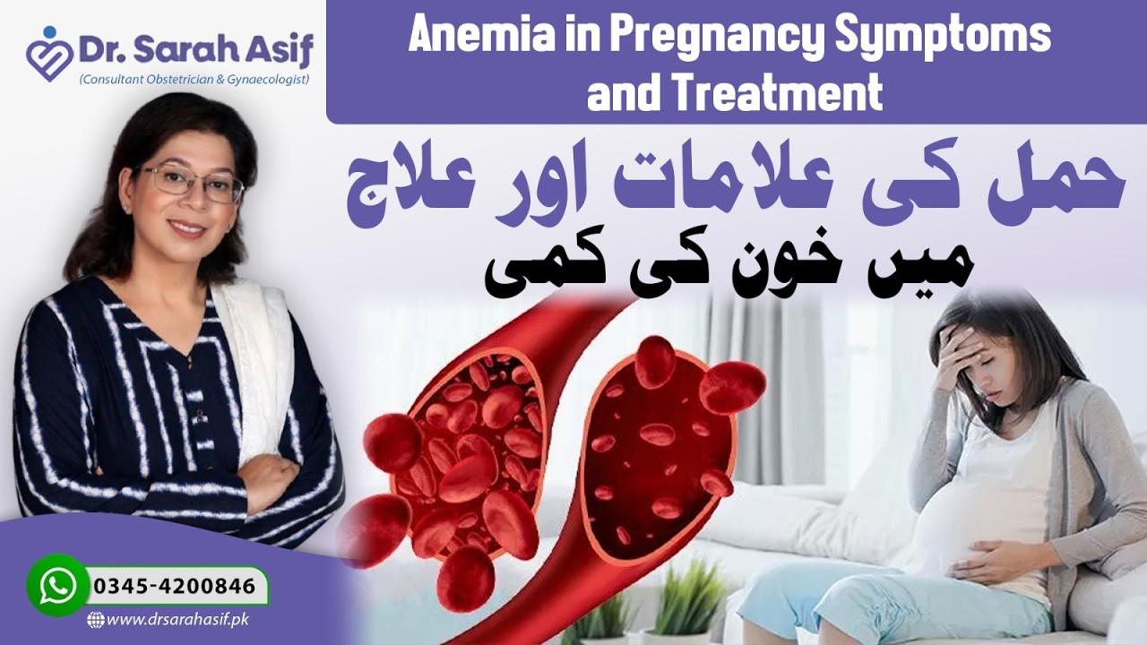 Anemia in Pregnancy Symptoms and Treatment