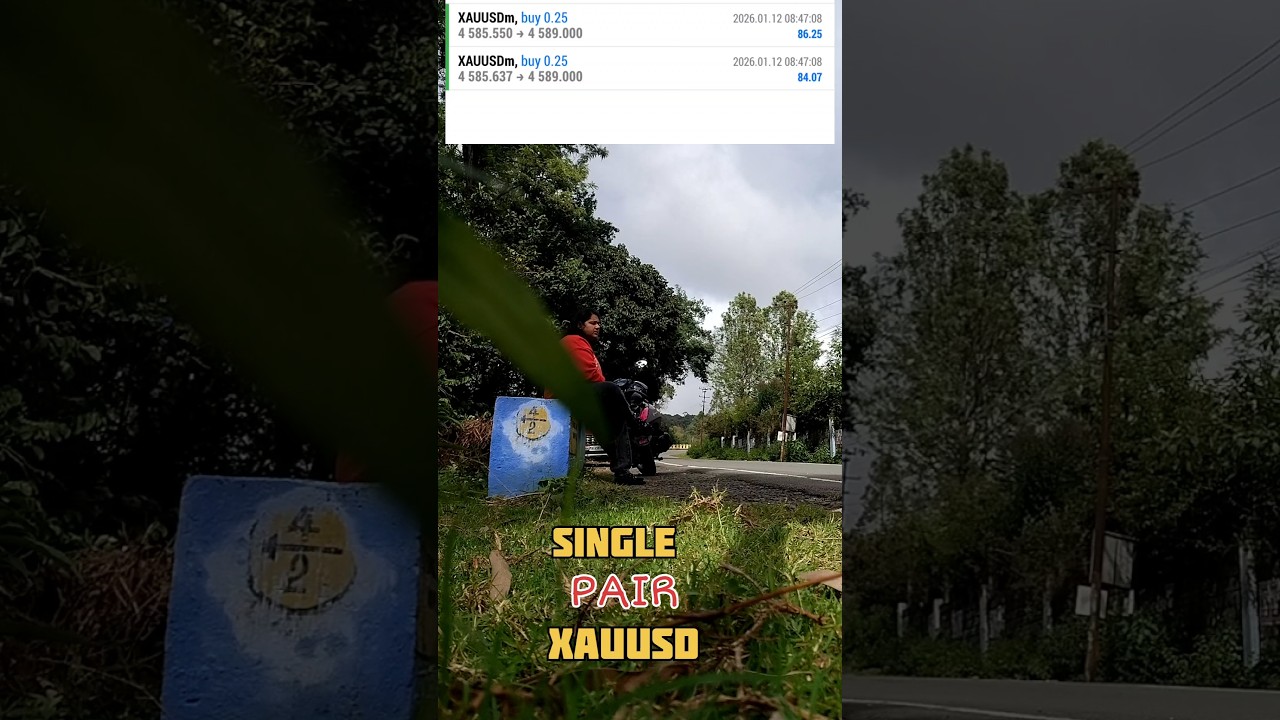 Zero to HeroStock Market Trading Short Video 📉📉 