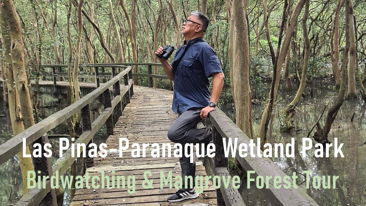 Las Pinas-Paranaque Wetland Park. Birdwatching & Mangrove Forest Tour. How to get there, what to do.