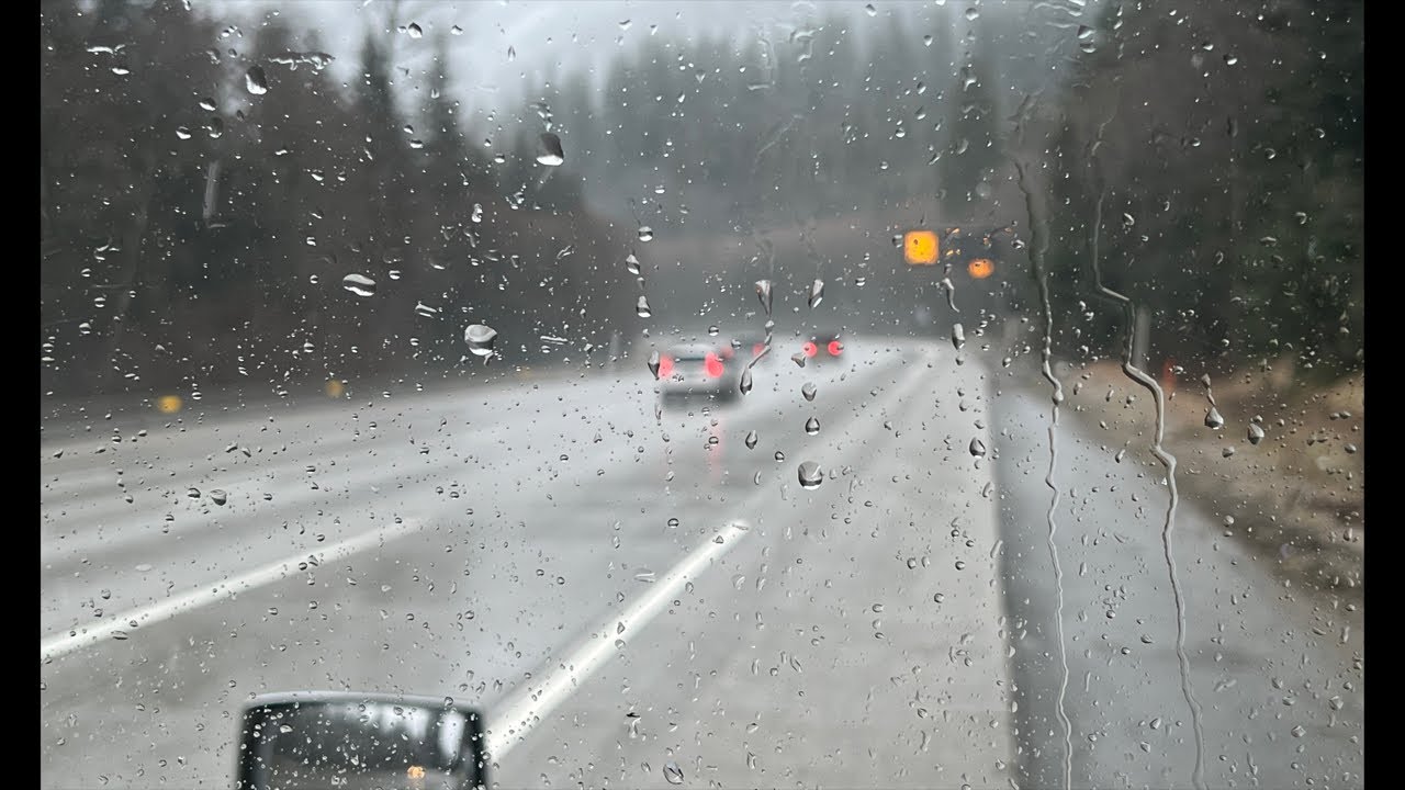 انا لست مجرد مهاجر انا …..🥺 معلومة و قصة  is live!