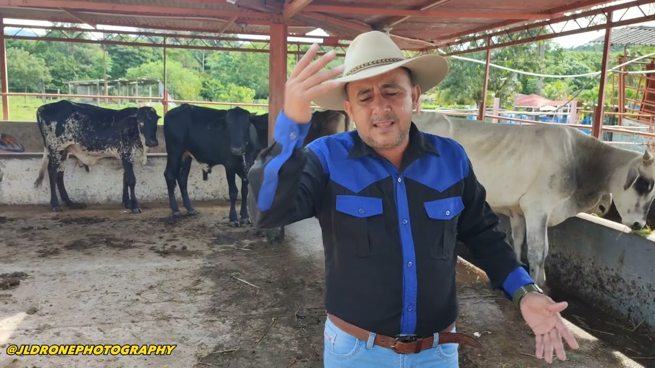 Debajo Del Sombrero - Walter P&eacute;rez