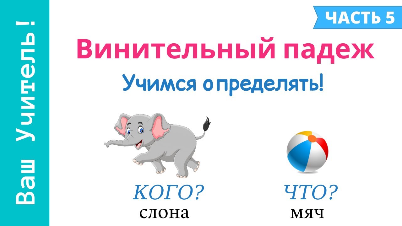 Винительный падеж. Как определить винительный падеж?