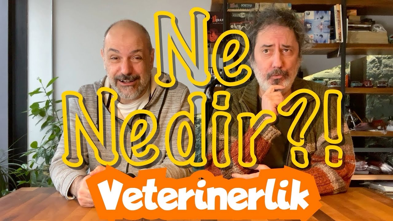 NE NEDİR: VETERİNERLİK! Veteriner Hekimlik, Veterinsi Duruş.