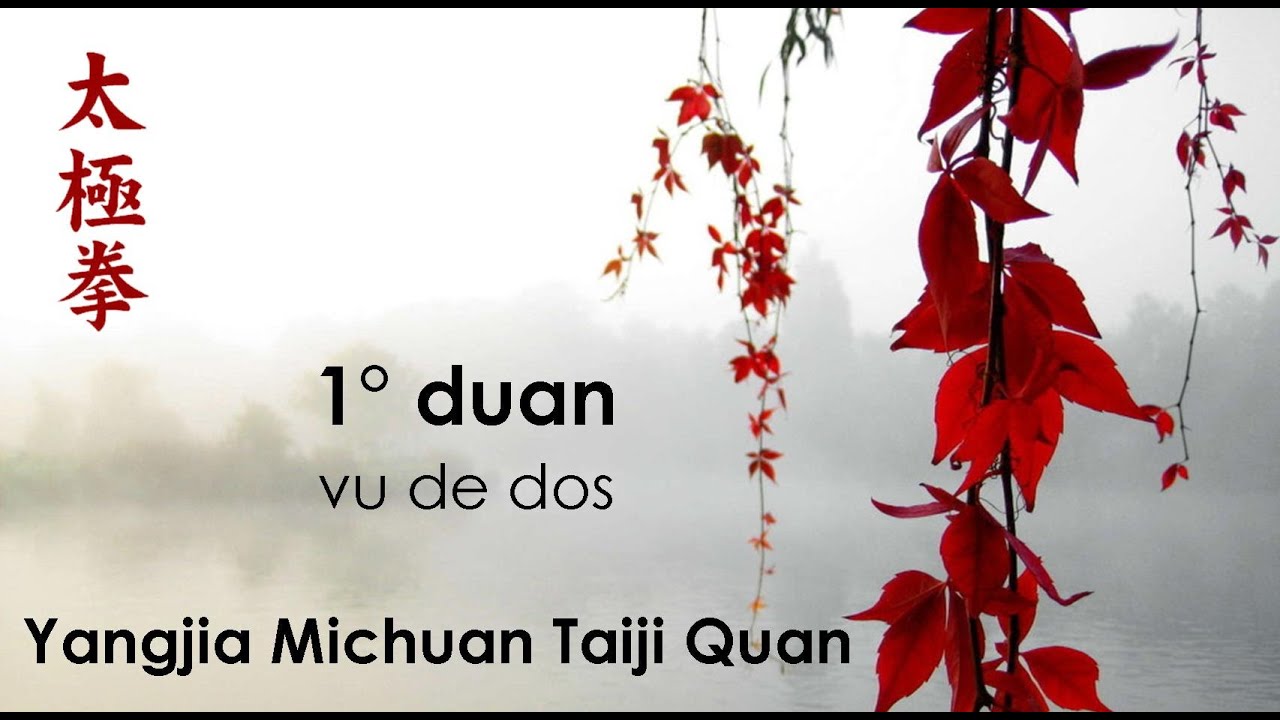 1° duan du Yangjia Michuan Taiji Quan vu de dos
