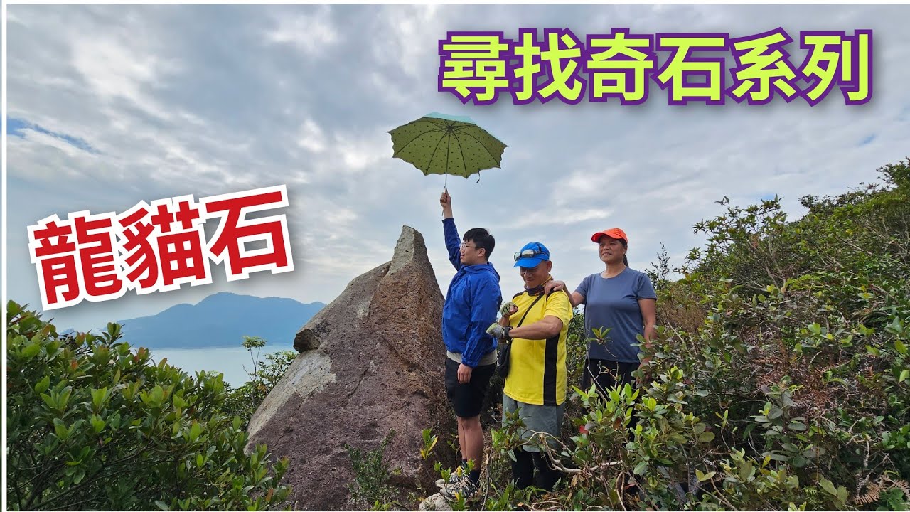 細強遊記：尋找奇石系列：龍貓石