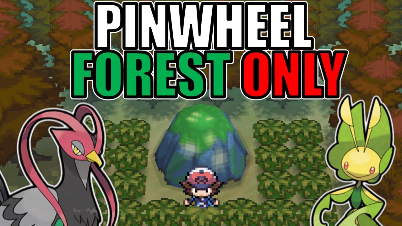 Победите Pok&eacute;mon Black, используя только покемонов из Pinwheel Forest!