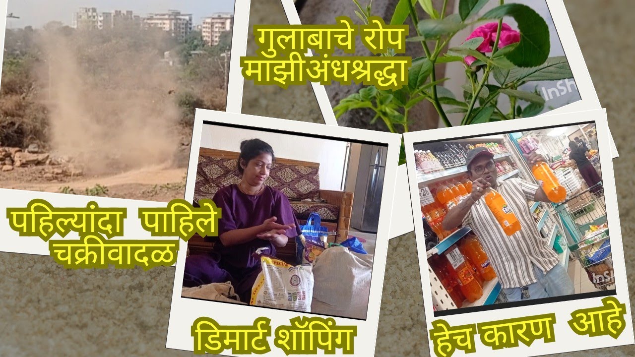 डी मार्ट  आणि मन्थली बजट | घरातल्या वस्तू आणि माझे मन | D mart shopping | chakrivadal |