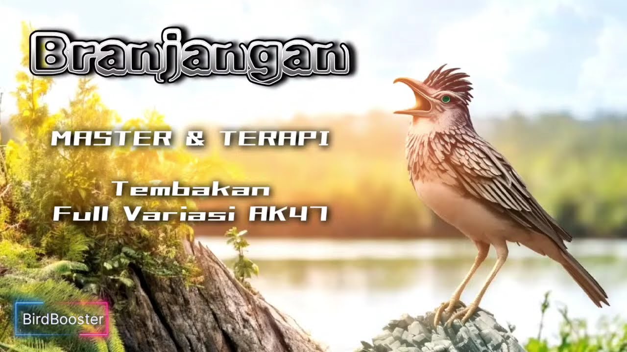 Master Branjangan full isian | Burcil Sultan | Terapi Air