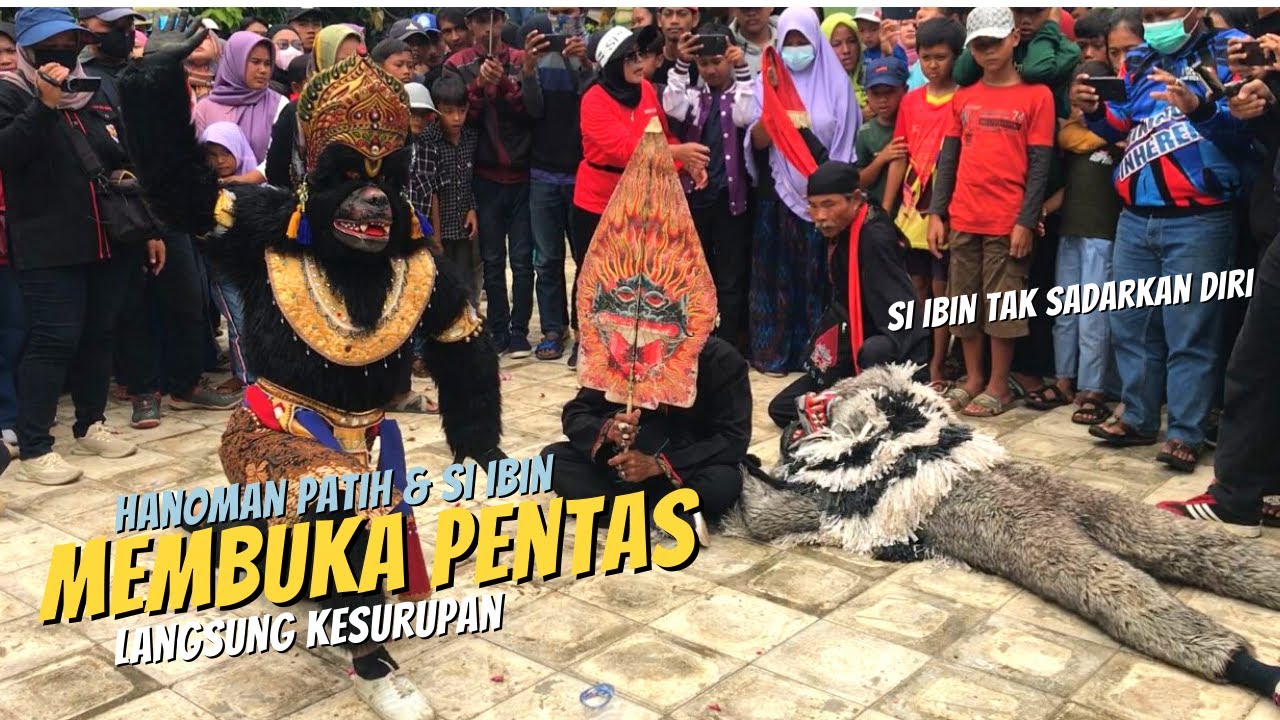 TIBA2 HANOMAN PATIH & IBIN KESURUPAN SAAT BUBUKA PENTAS❗❗ KUDA LUMPING MSP 🔥 BARGOLA TV
