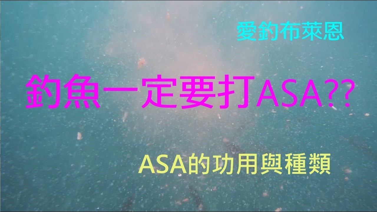 學釣魚 #5 淺談誘餌(ASA)-上集: ASA的功用與種類  (磯釣入門系列)(有字幕)