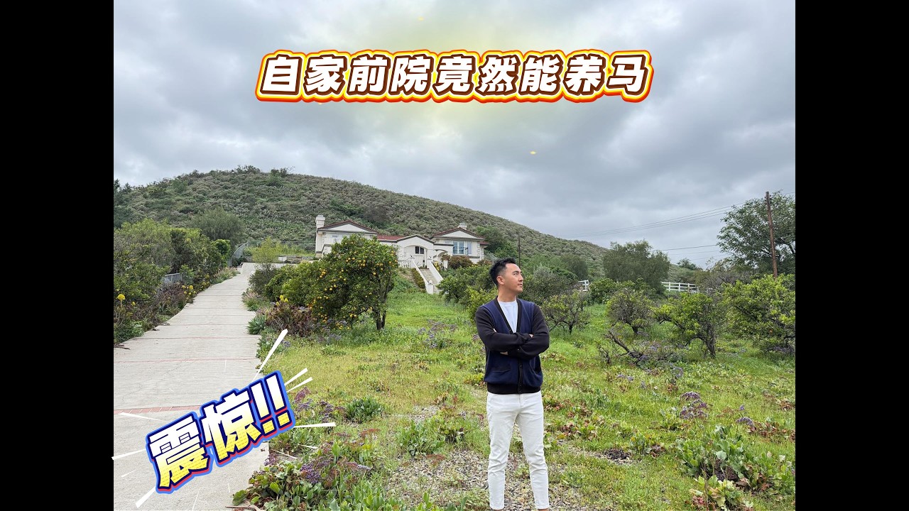 庄园Vlog116｜自家前院就能养马，骑马？