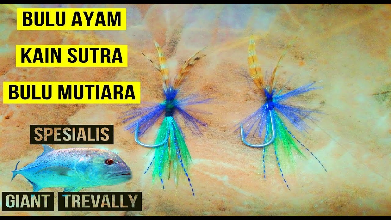 Cara membuat umpan ikan bobara dari bulu ayam dan kain sutra