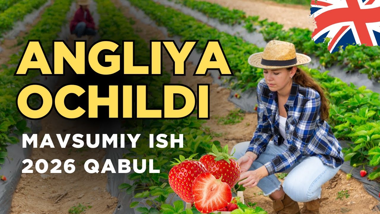 O‘zbekistonliklar uchun 2025-yilda vizani qanday tez olish mumkin