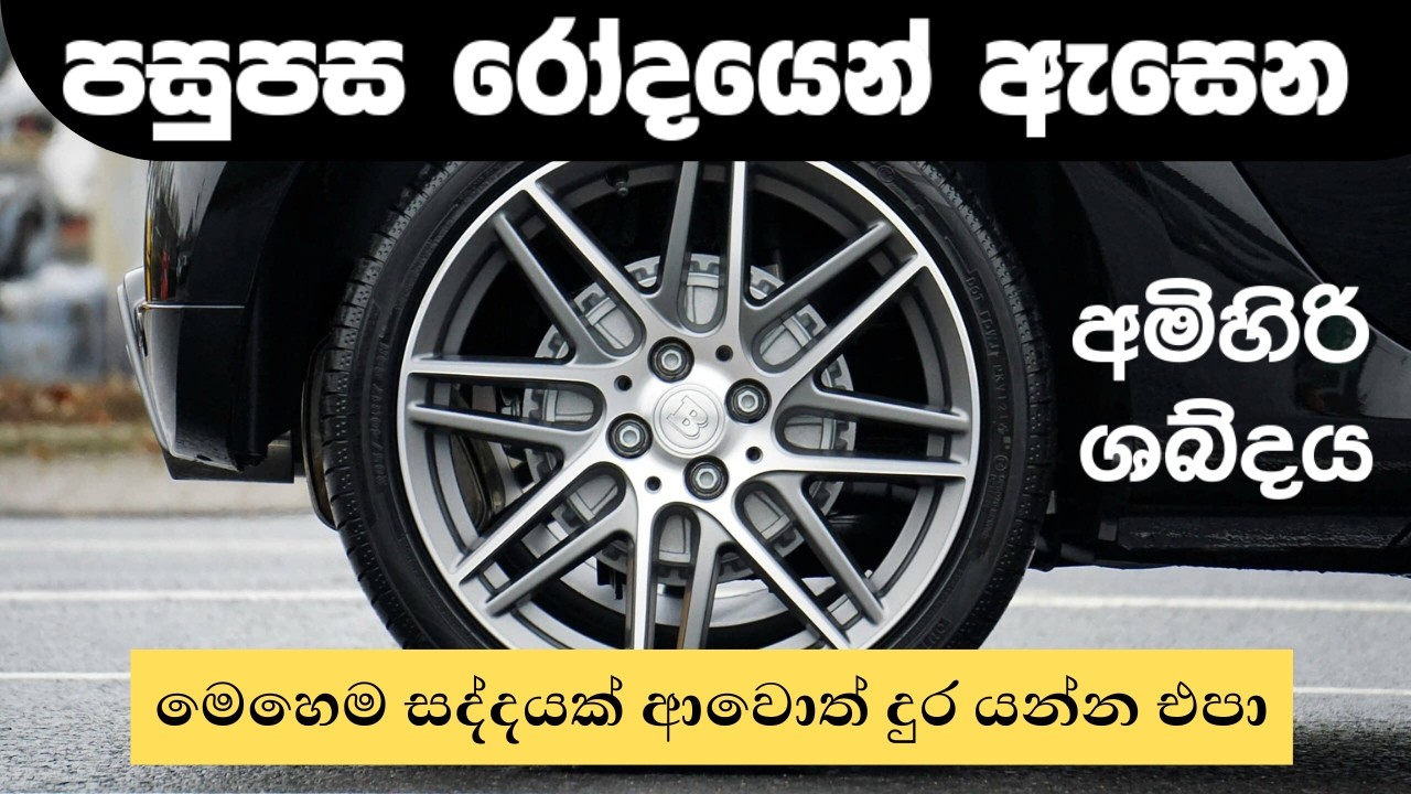 පසුපස රෝදයක බෙයාරිම‍‍ සවි කිරීම | Wheel Bearing Noise | Replacement of Wheel Bearing