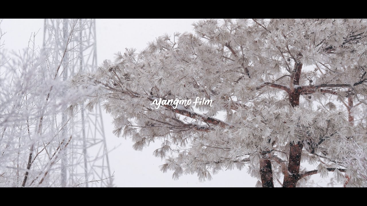[4K] 21/22 yangmofilm Snowboard Movieㅣ1.9TB 겨울이야기 Cinematic film