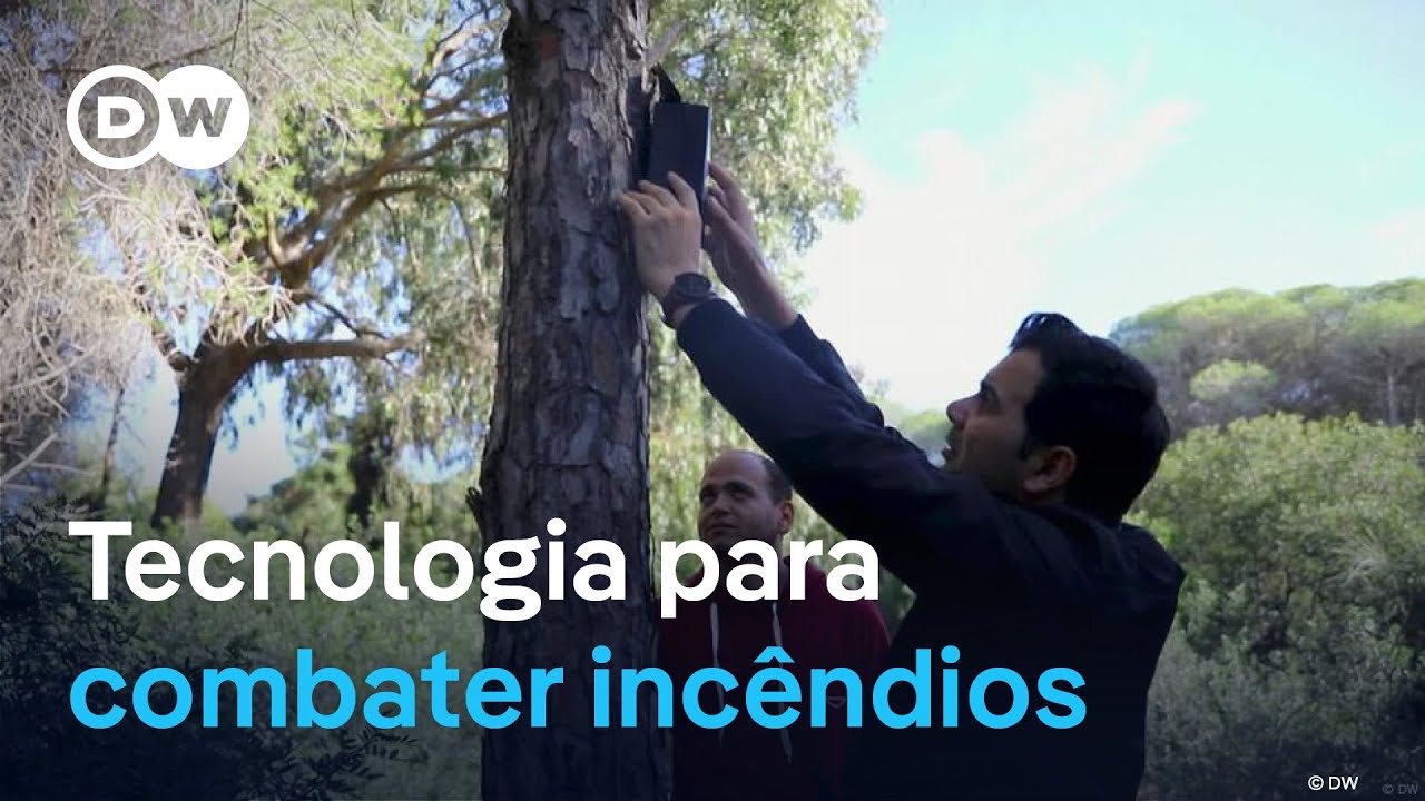 IA no controlo de incêndios florestais na Tunísia