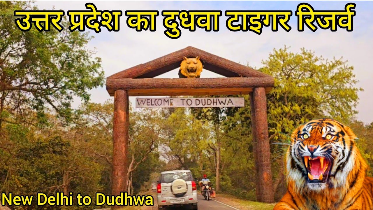 Dudhwa National Park | पहुंच गए उत्तर प्रदेश के दुधवा टाइगर रिजर्व | New Delhi to Dudhwa #wildlife