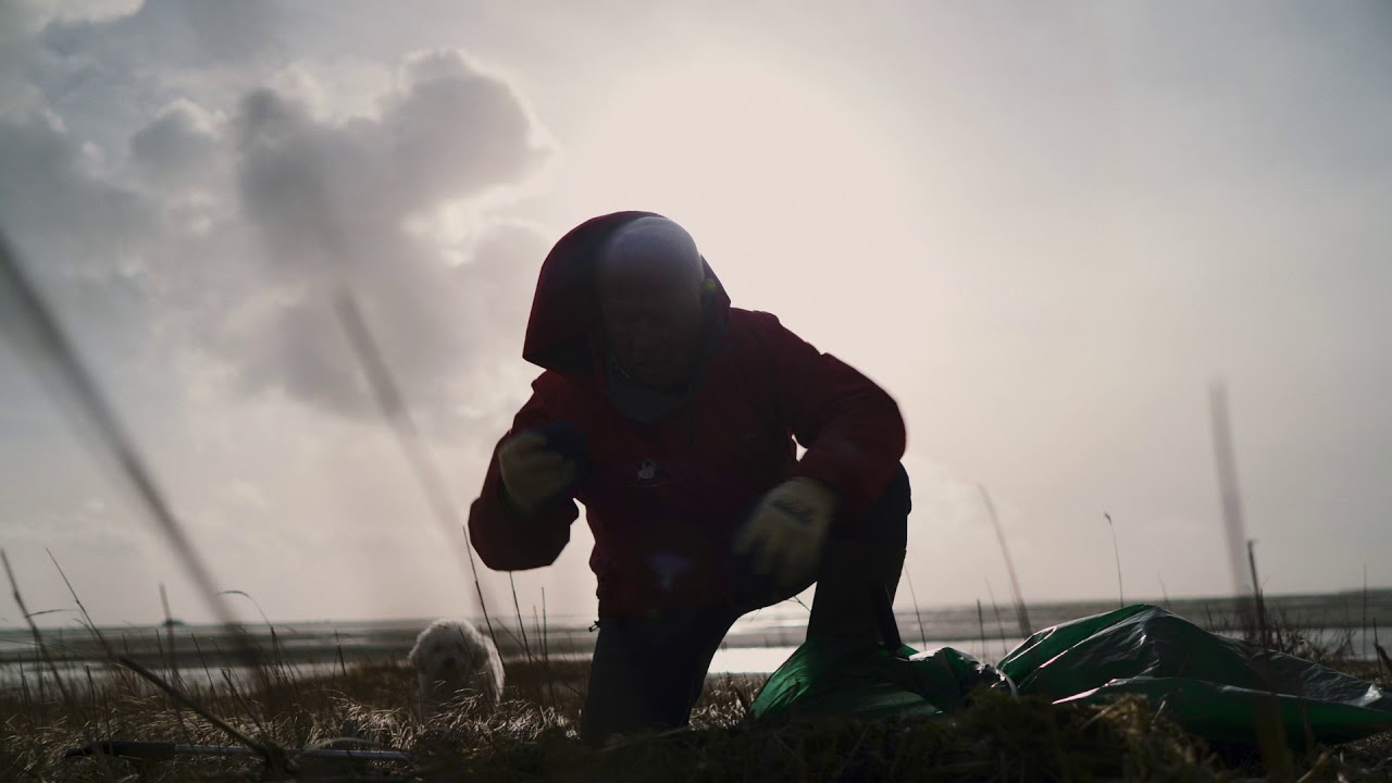 De Wadden: het mooiste natuurgebied van Nederland #doewad