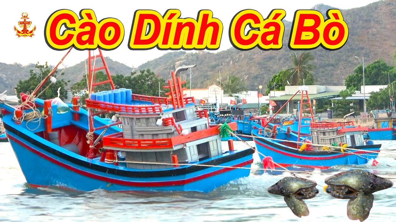 Tài Công Khá Gan Dạ Khi Cho Cào Vùng Nước Chảy Mạnh