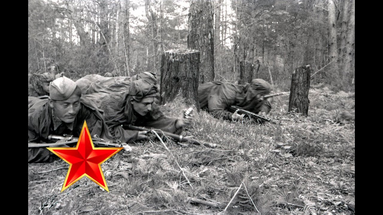 В лесу прифронтовом - Песни военных лет - Лучшие фото - С берез неслышен