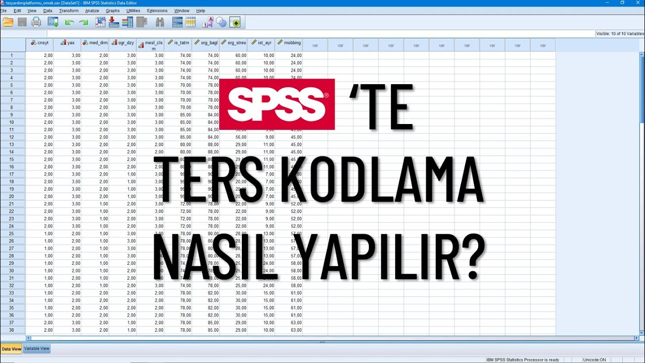 SPSS'te Ters Kodlama Nasıl Yapılır?