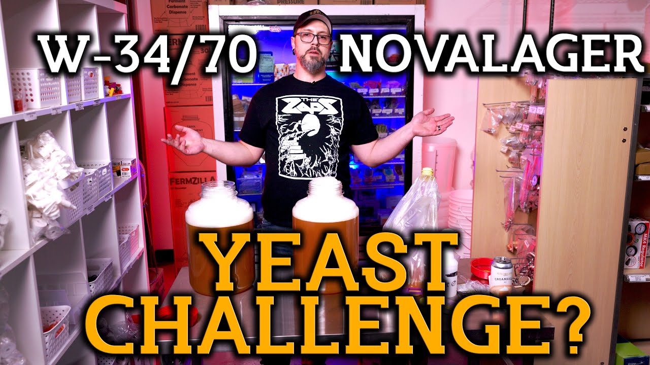 Brewing a Lager At Room Temperature?  W34/70 vs Novalager: From Fermonster to Oxebar Which Will Win?